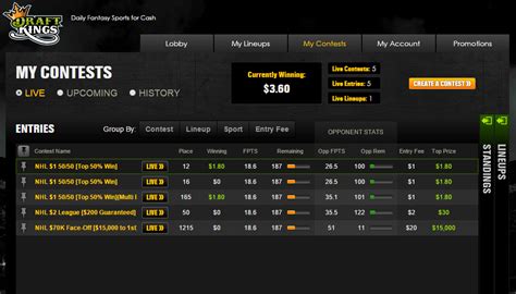 How do I enter my winnings from Draft Kings (Daily Fantasy.